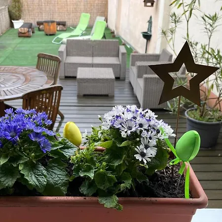 Edelweiss à Eguisheim