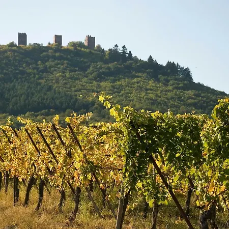 아파트 Edelweiss A