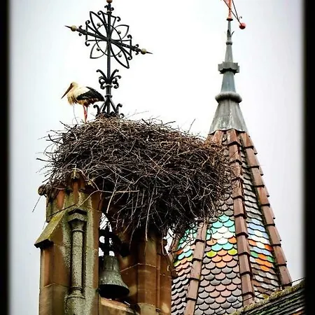 아파트 Edelweiss A