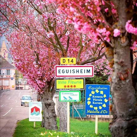 아파트 Edelweiss A