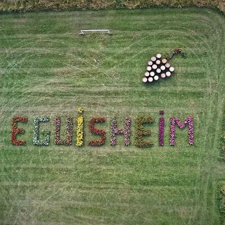 Edelweiss à * Eguisheim