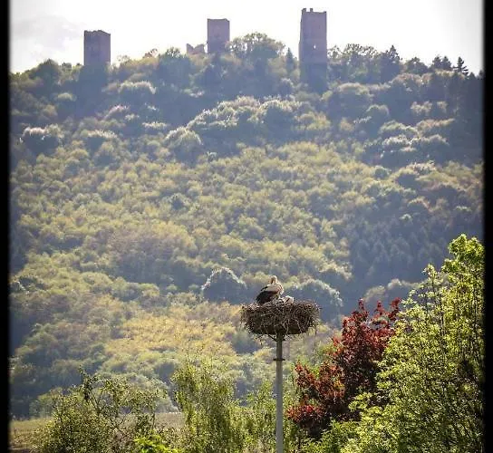 Appartamento Edelweiss à Eguisheim