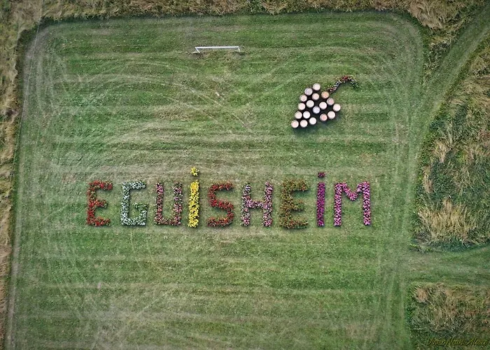 Edelweiss A * Eguisheim